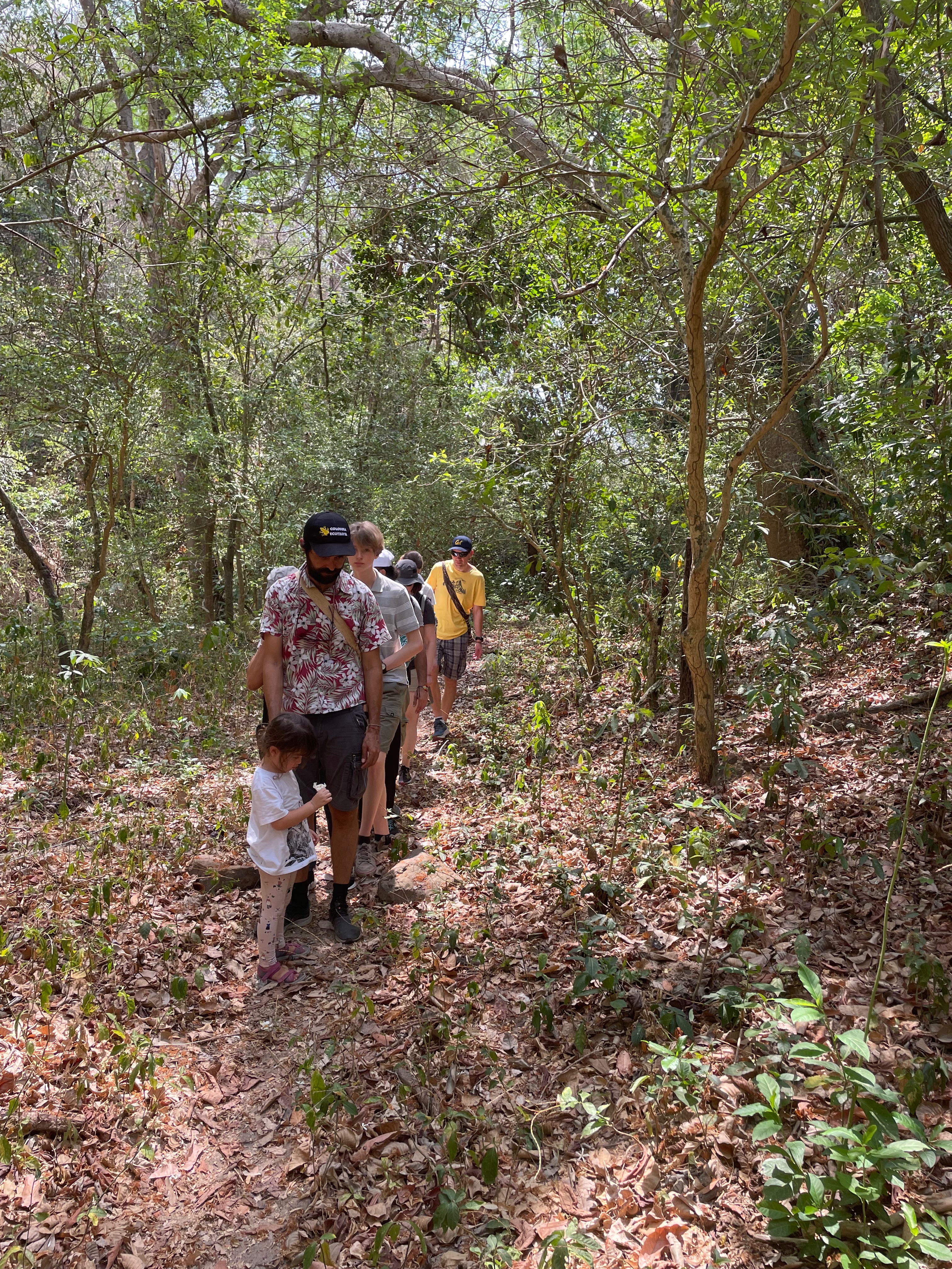 Sendero de Ulukundua en Reserva La Tigra, Sierra Nevada de Santa Marta